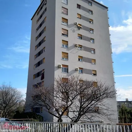 Frog Rijeka